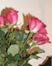 thumbnail of organic flowers roses; link for environmental article, Buying Organic Flowers Lets You Avoid Pesticide Residue on That Lovely Bouquet