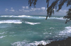 picture of beachfront ocean