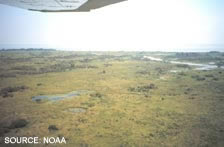 picture wetlands, courtesy NOAA