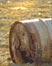 picture of barrel of toxic waste; link for environmental article, Parallel Detoxification Systems for Planet Earth and the Human Body