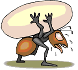 cartoon of ant carrying ant egg