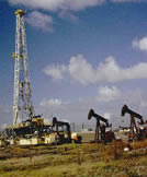 picture of oil pumps