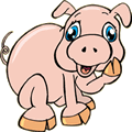 cartoon picture of a pig