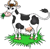 cartoon image of grass fed cow in a pasture