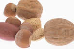picture of nuts