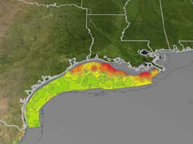 picture showing satellite photo of coastal Gulf of Mexico with dead zones highlighted - they cover a large portion of the coastal gulf region