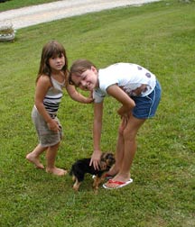 picture of dog and kids on lawn
