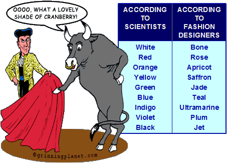funny cartoon of bull looking at bull fighter's red cloth saying, Ooo, that's a lovely shade of cranberry. Background is rainbow cartoon. Graphic also contains the color spectrum according to scientists - Red, Orange, Yellow, Green, Blue, Indigo, Violet - vs. the color spectrum according to designers - Rose, Apricot, Saffron, Jade, Teal, Ultramarine, Plum