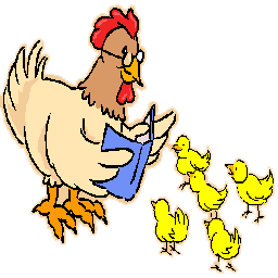 picture of school-teacher chicken teaching chicks