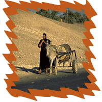 picture of woman in desert with ox cart