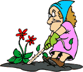 graphic of woman pulling weed