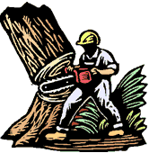 graphic of logger