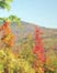 picture of fall colors; link to environmental article, How Corporate Media News Shortchanges Our Democracy, Our Environment, and Us