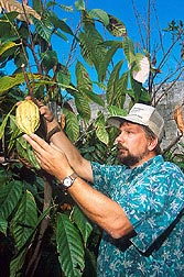 picture of farmer with cocao pod