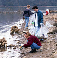 picture of young people cleaning up a river bank