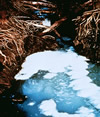 picture of scummy water pollution