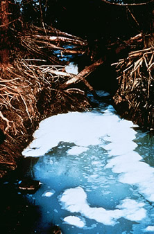 picture of foaming water (pollution)