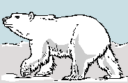 graphic of polar bear in arctic