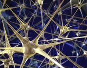 healing video link; thumb of network of neurons