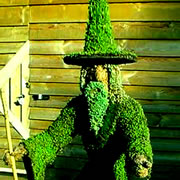 wizard made of shrubbery