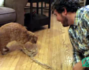 funny work-life balance video link; thumb of man playing with cat