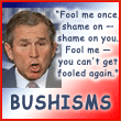 image of George Bush