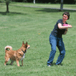 picture of man and dog playing on lawn