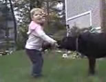little boy playing with black lab dog; click to go to video page