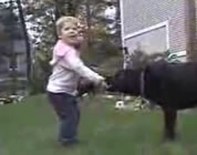 green lawn care video link; thumb of little boy playing with black lab