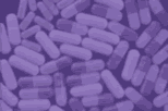 graphic of purple drug pills; click to see video on YouTube