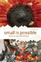 book cover for Small is Possible, by Lyle Estill, 5/1/2008