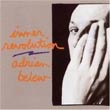 album cover for Adrian Belew, Inner Revolution