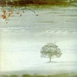album cover for Wind and Wuthering