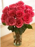 organic roses; click to view organic flowers on Amazon dot com