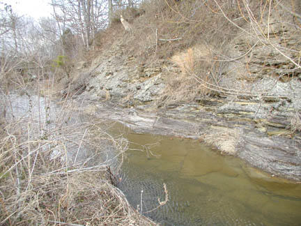 picture of Owsley Fork