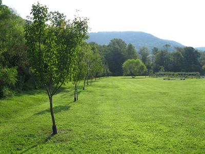 picture of  Perimeter Fruit and Nut Trees